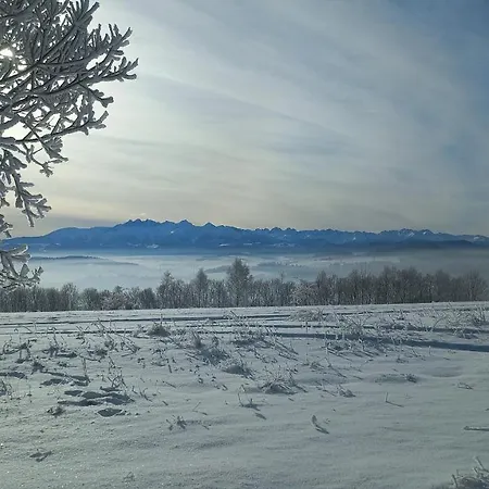 アパート U Halinki チョルシュティン