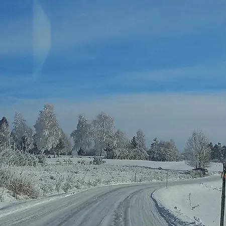 U Halinki アパート