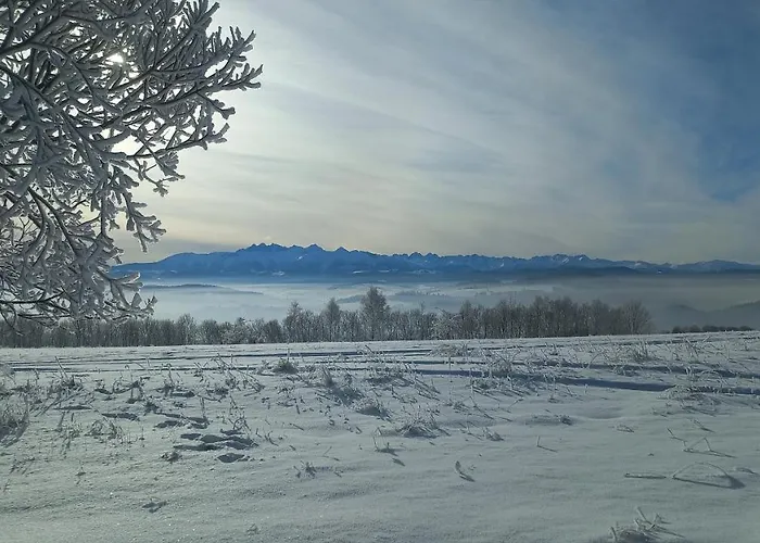 アパート U Halinki チョルシュティン