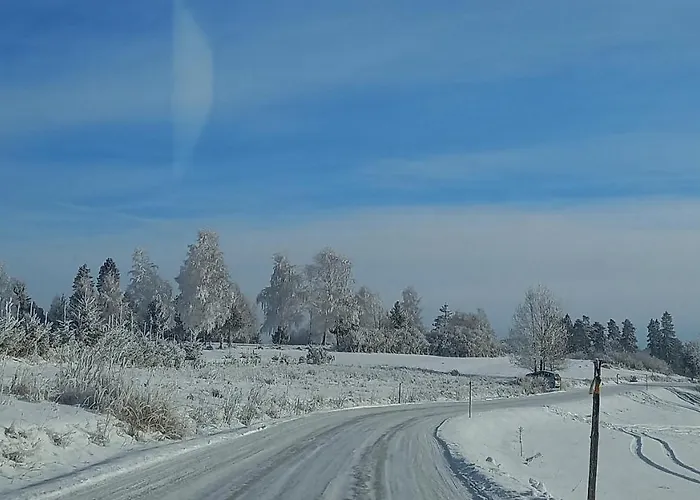 U Halinki アパート